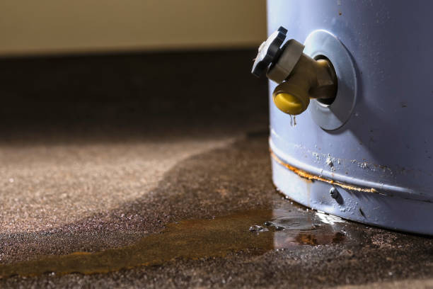Best Water damage cleanup near me  in Rockvale, TN