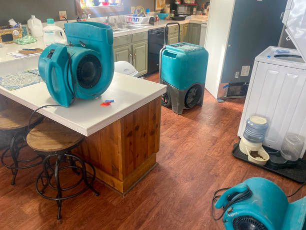 Best Water damage cleanup near me  in Rockvale, TN