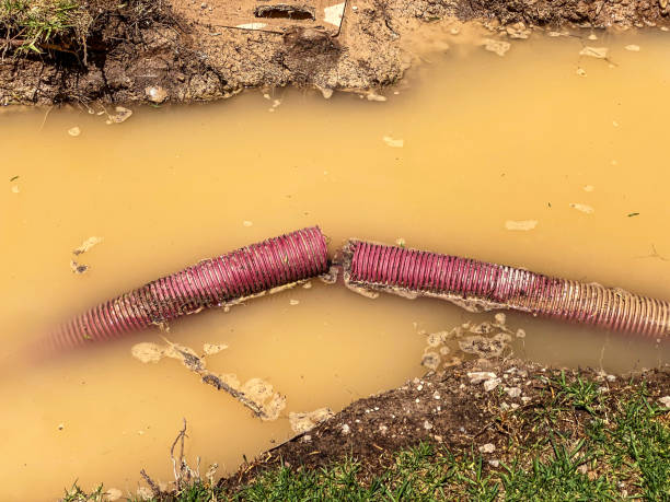 Best Local water damage restoration  in Rockvale, TN